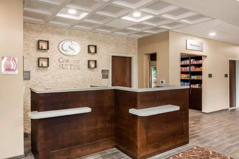 ホテル Comfort Suites  South Austin