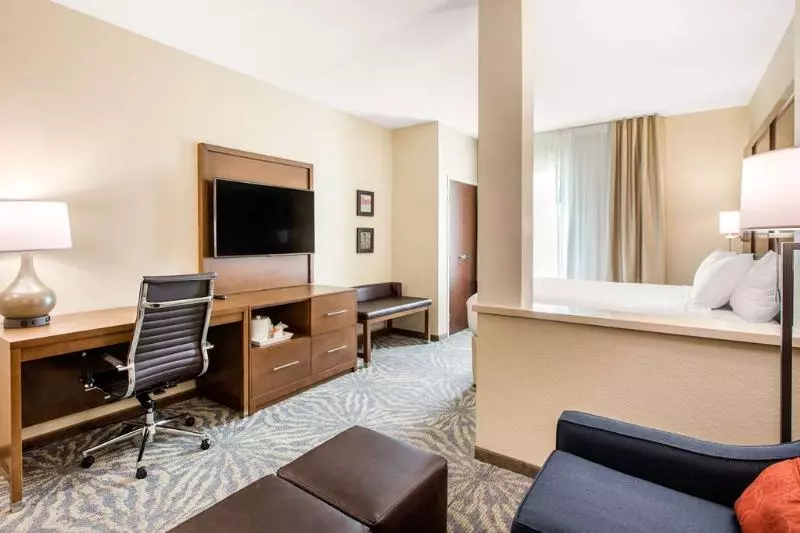 ホテル Comfort Suites  South Austin