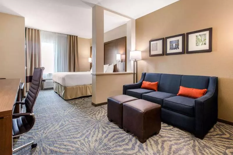 ホテル Comfort Suites  South Austin