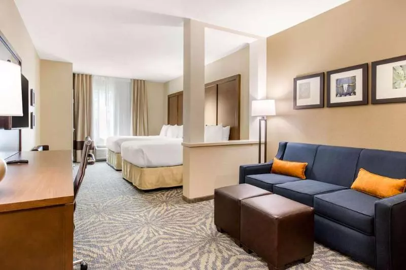 ホテル Comfort Suites  South Austin