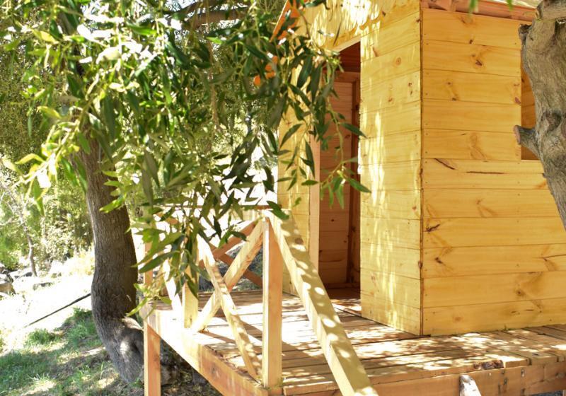 ホテル Las Gaviotas