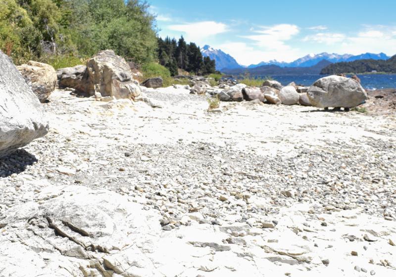 ホテル Las Gaviotas