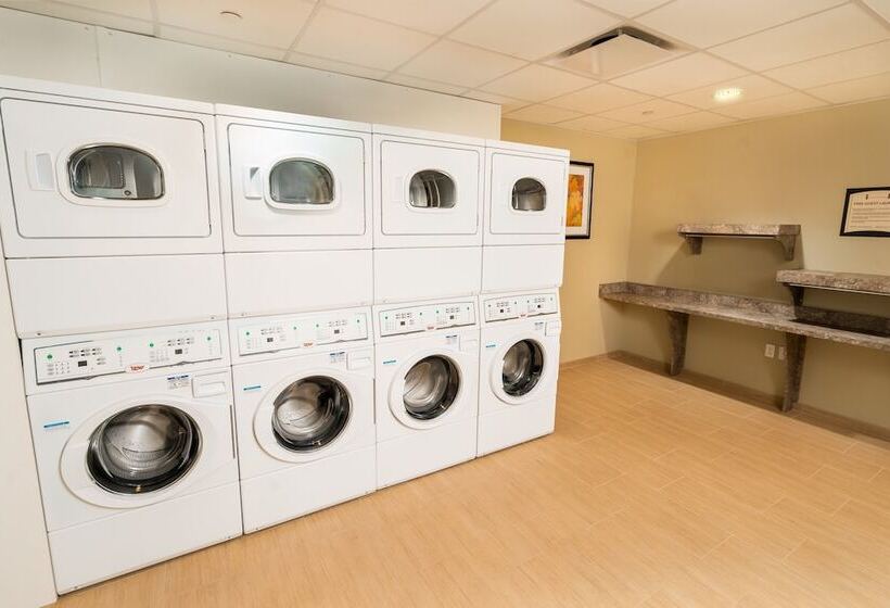 فندق Staybridge Suites   Newark   Fremont, An Ihg