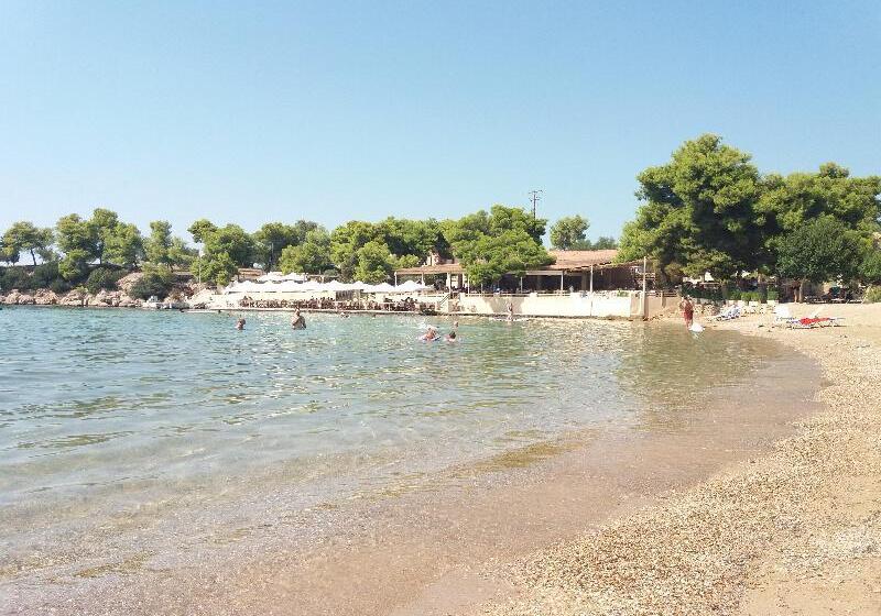 בית מלון כפרי Sunny Place Resort