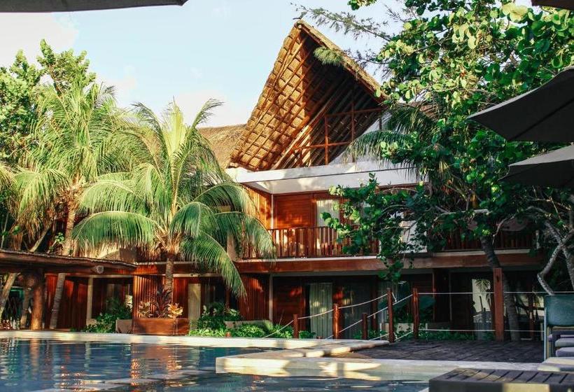 酒店 Villas Caracol