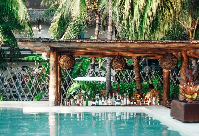 酒店 Villas Caracol