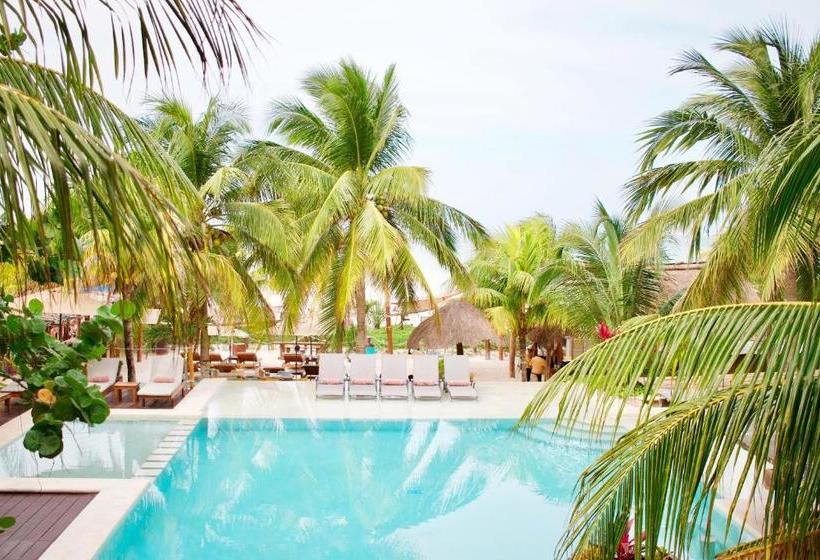 酒店 Villas Caracol