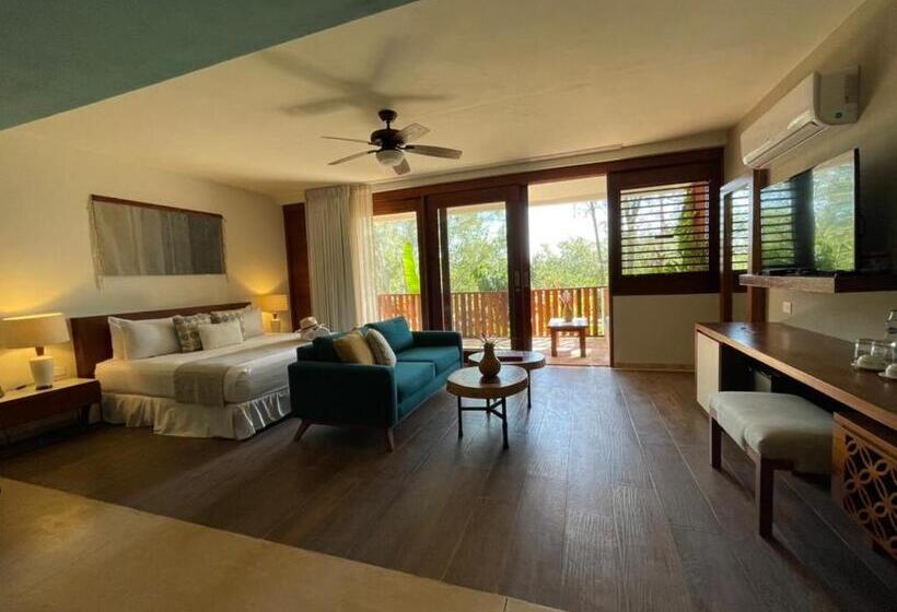 酒店 Villas Caracol