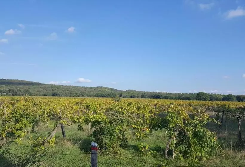 Locanda B&b Momo