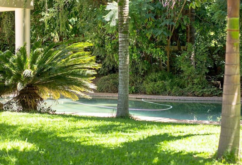 تختخواب و صبحانه Northern Studio Suite