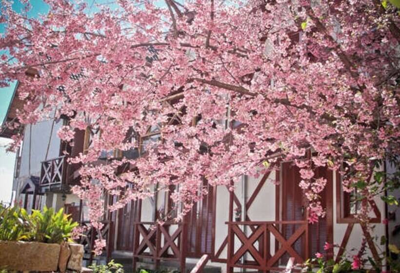 Gæstgiveri Pousada Dos Esquilos