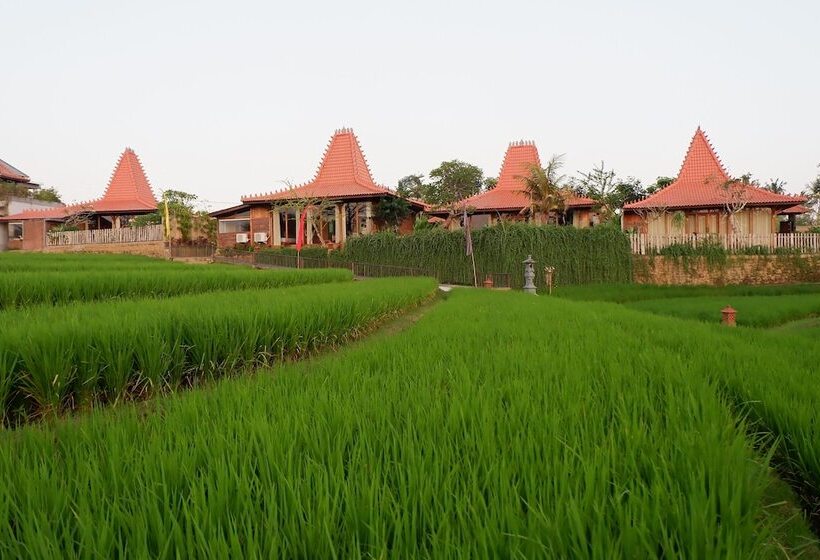 Hotel Apple Resort Retreat Spa