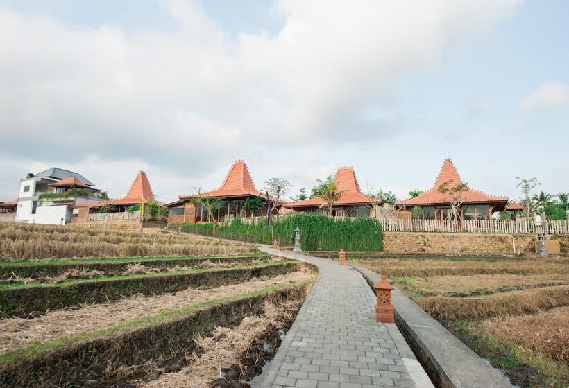 Hotel Apple Resort Retreat Spa