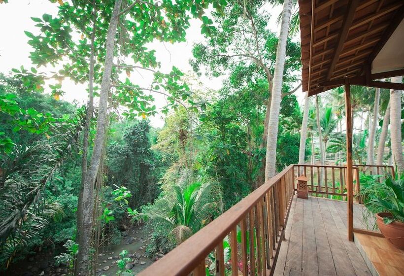 Hotel Apple Resort Retreat Spa