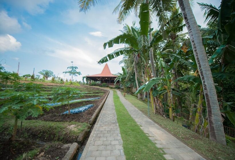 Hotel Apple Resort Retreat Spa