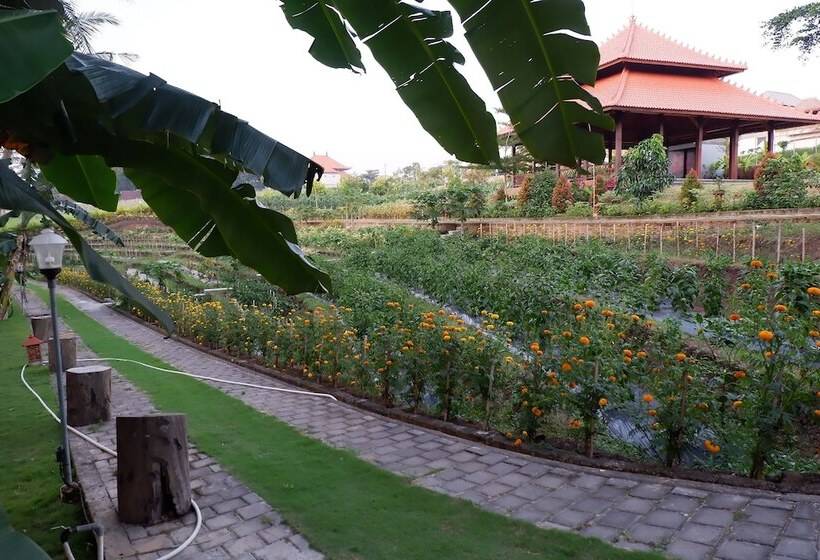 Hotel Apple Resort Retreat Spa