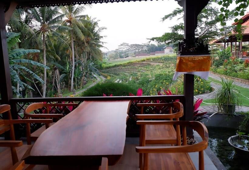 Hotel Apple Resort Retreat Spa