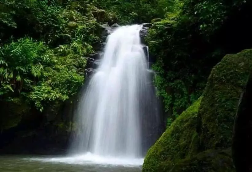 ホテル Cabanas Cascadas Encantadas