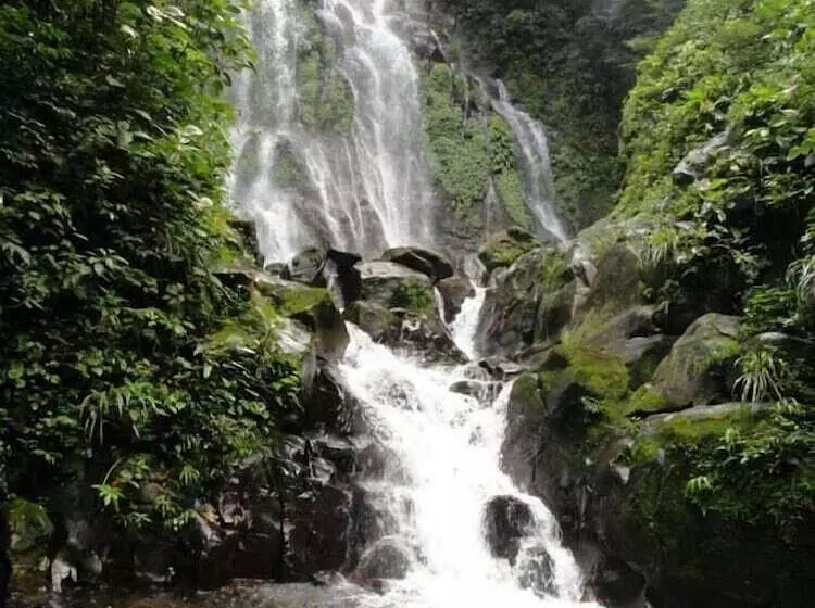 ホテル Cabanas Cascadas Encantadas