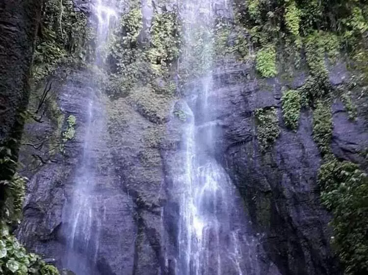 ホテル Cabanas Cascadas Encantadas