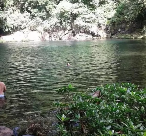 ホテル Cabanas Cascadas Encantadas
