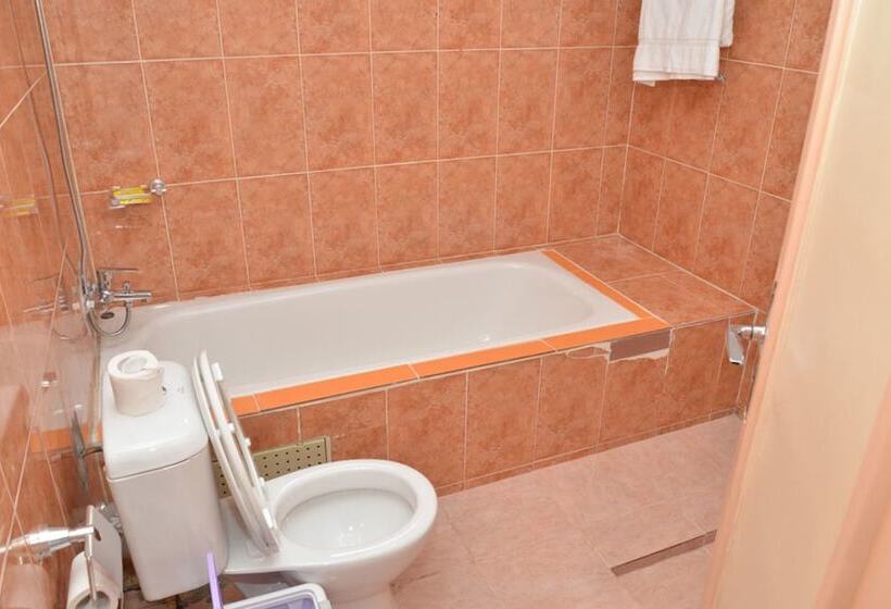 هتل International