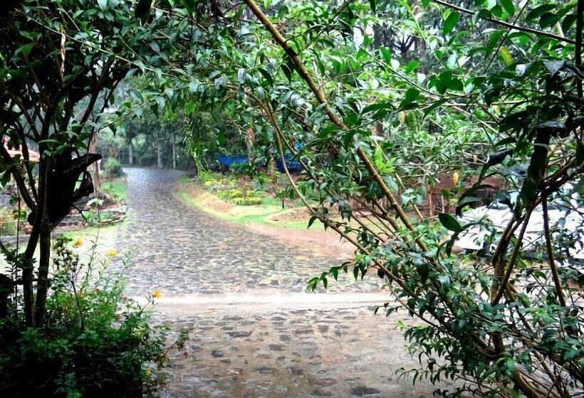 בית מלון כפרי Lilly's Valley Resort