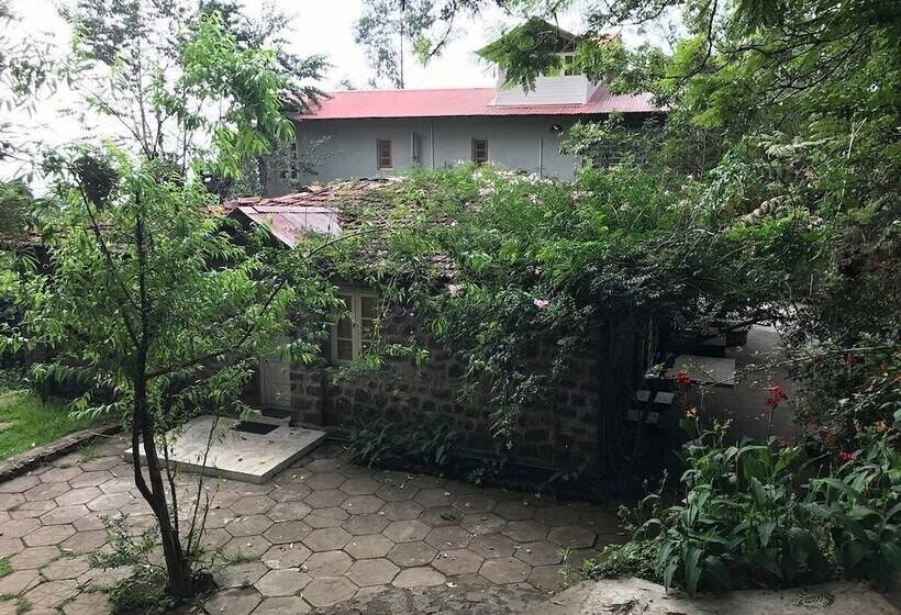 בית מלון כפרי Lilly's Valley Resort