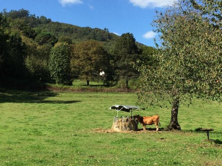 여관 Agroturismo La Casona De Belmonte