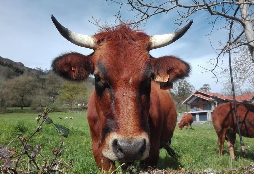 여관 Agroturismo La Casona De Belmonte