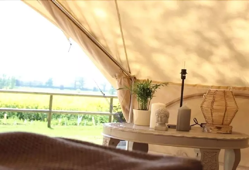 簡易ホテル Firs Glamping