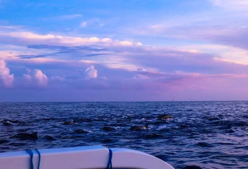 Hostelli Puri Sunny Guesthouse