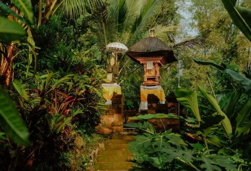 Hostelli Puri Sunny Guesthouse