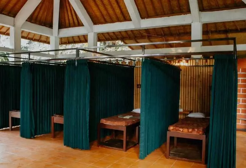 Hostelli Puri Sunny Guesthouse