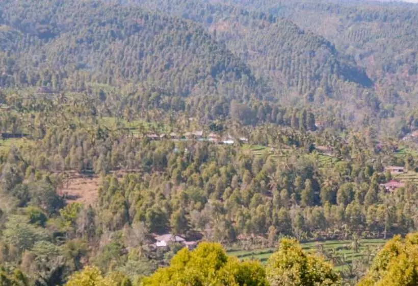 Hostelli Puri Sunny Guesthouse