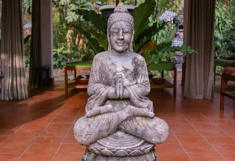 Hostelli Puri Sunny Guesthouse