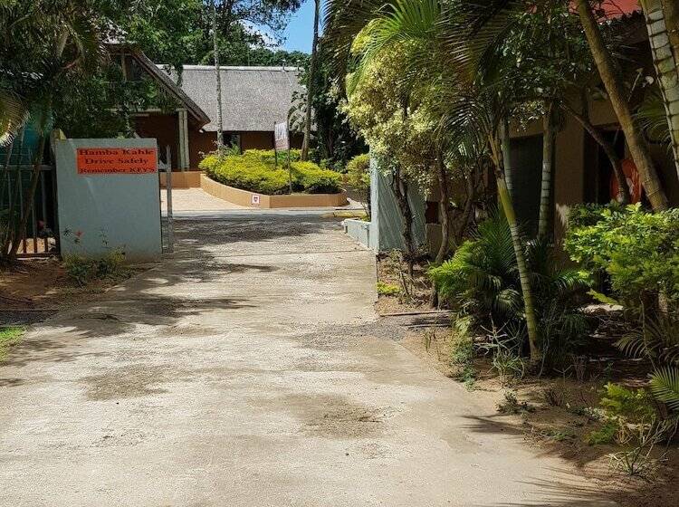 Отель Bibs Backpackers