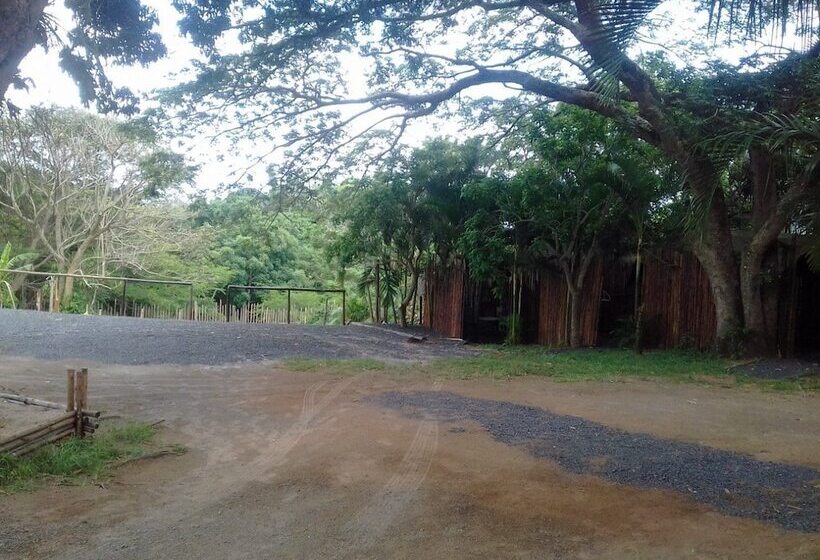 Отель Bibs Backpackers