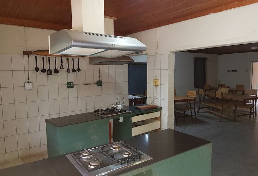 Отель Bibs Backpackers