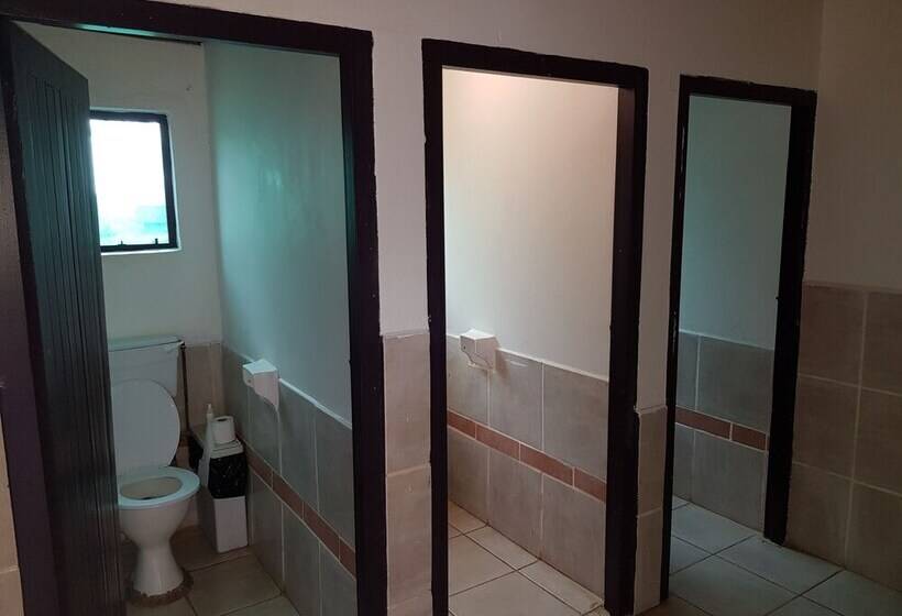 Отель Bibs Backpackers