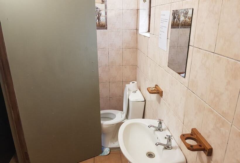 Отель Bibs Backpackers