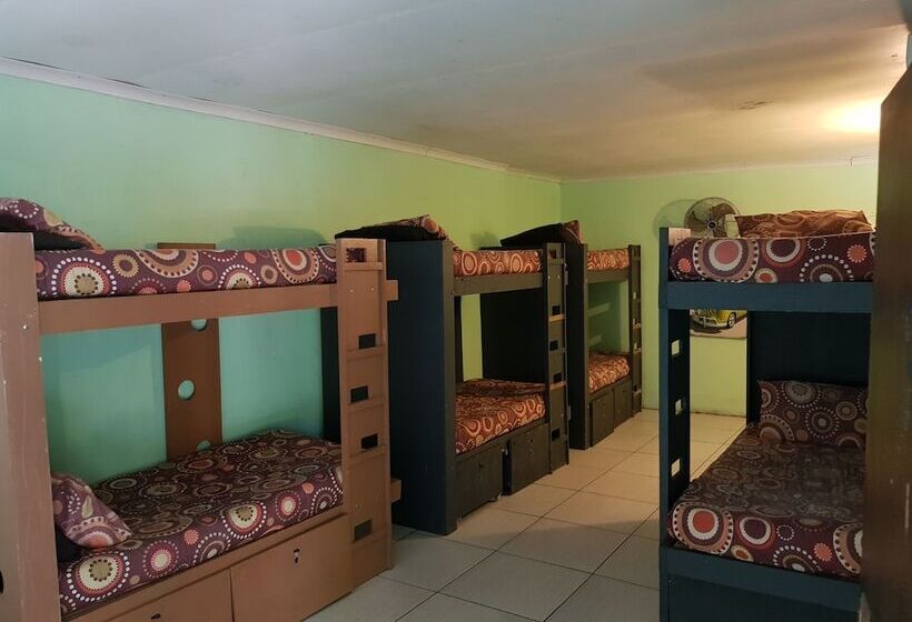 Отель Bibs Backpackers