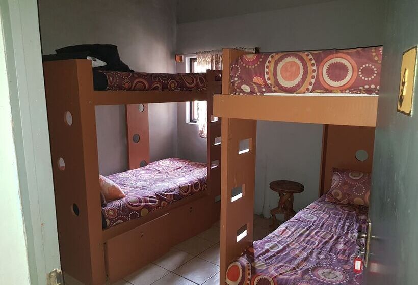 Отель Bibs Backpackers