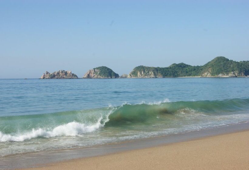 Отель Bungalows Las Hamacas