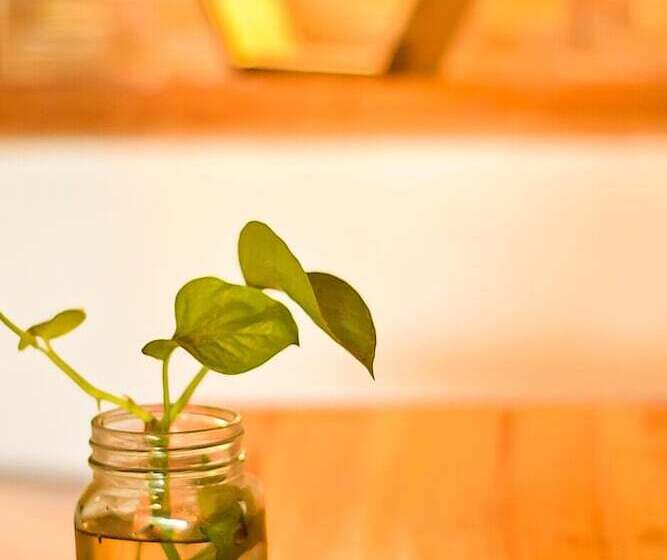 בית מלון כפרי Cianjur Paddies Hostel