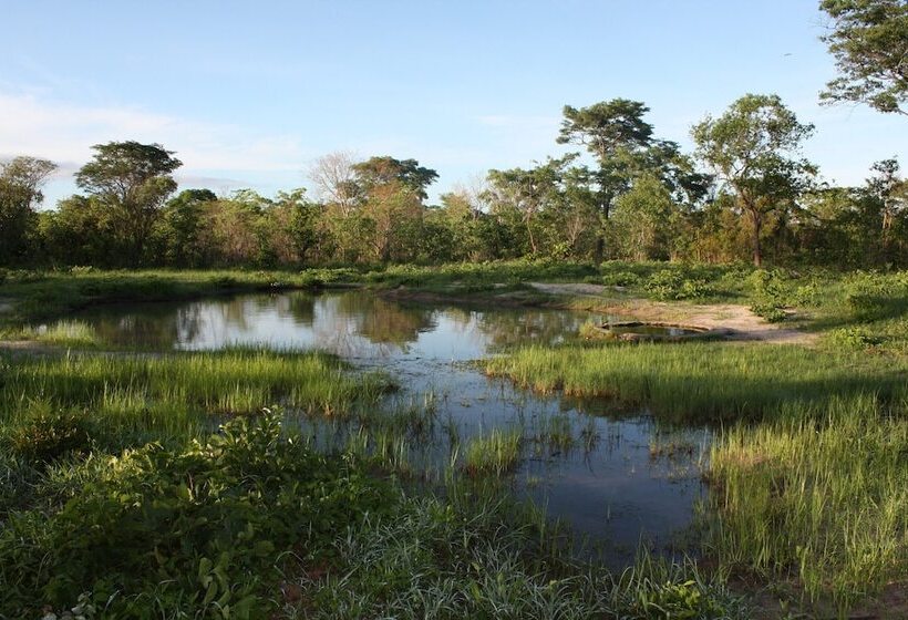 هتل Miombo Safari Camp