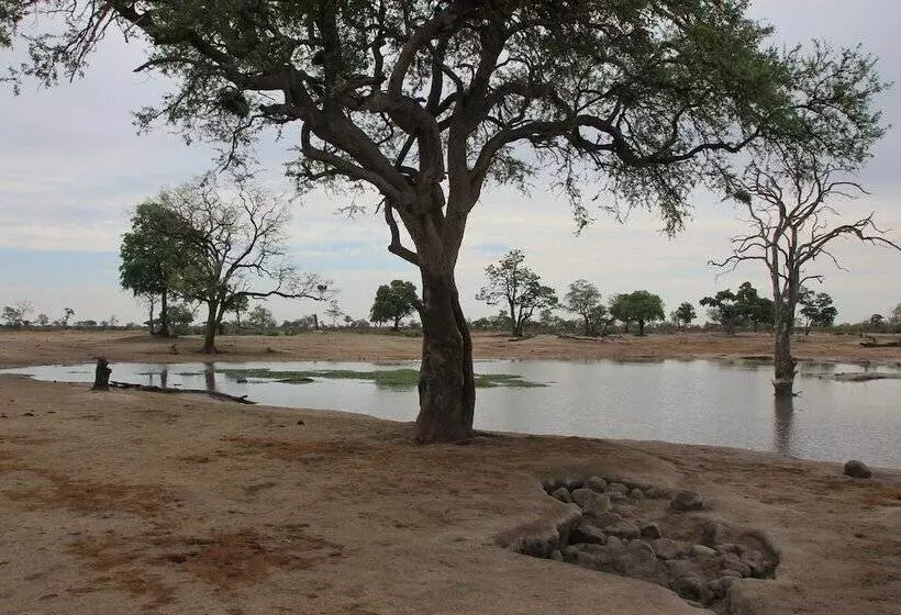 Hotel Miombo Safari Camp