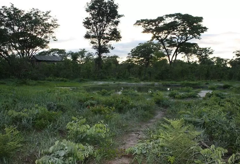 Hotel Miombo Safari Camp