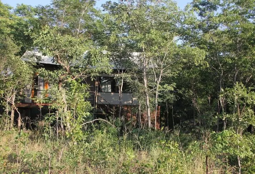 Hotel Miombo Safari Camp