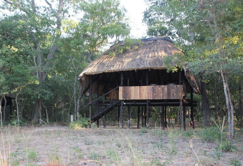 هتل Miombo Safari Camp